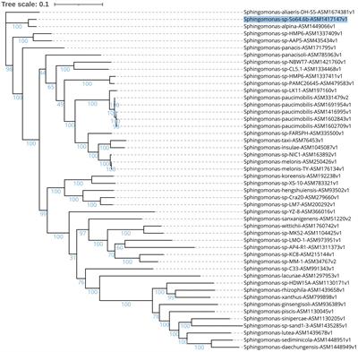 Antarctic Sphingomonas sp. So64.6b showed evolutive divergence within its genus, including new biosynthetic gene clusters